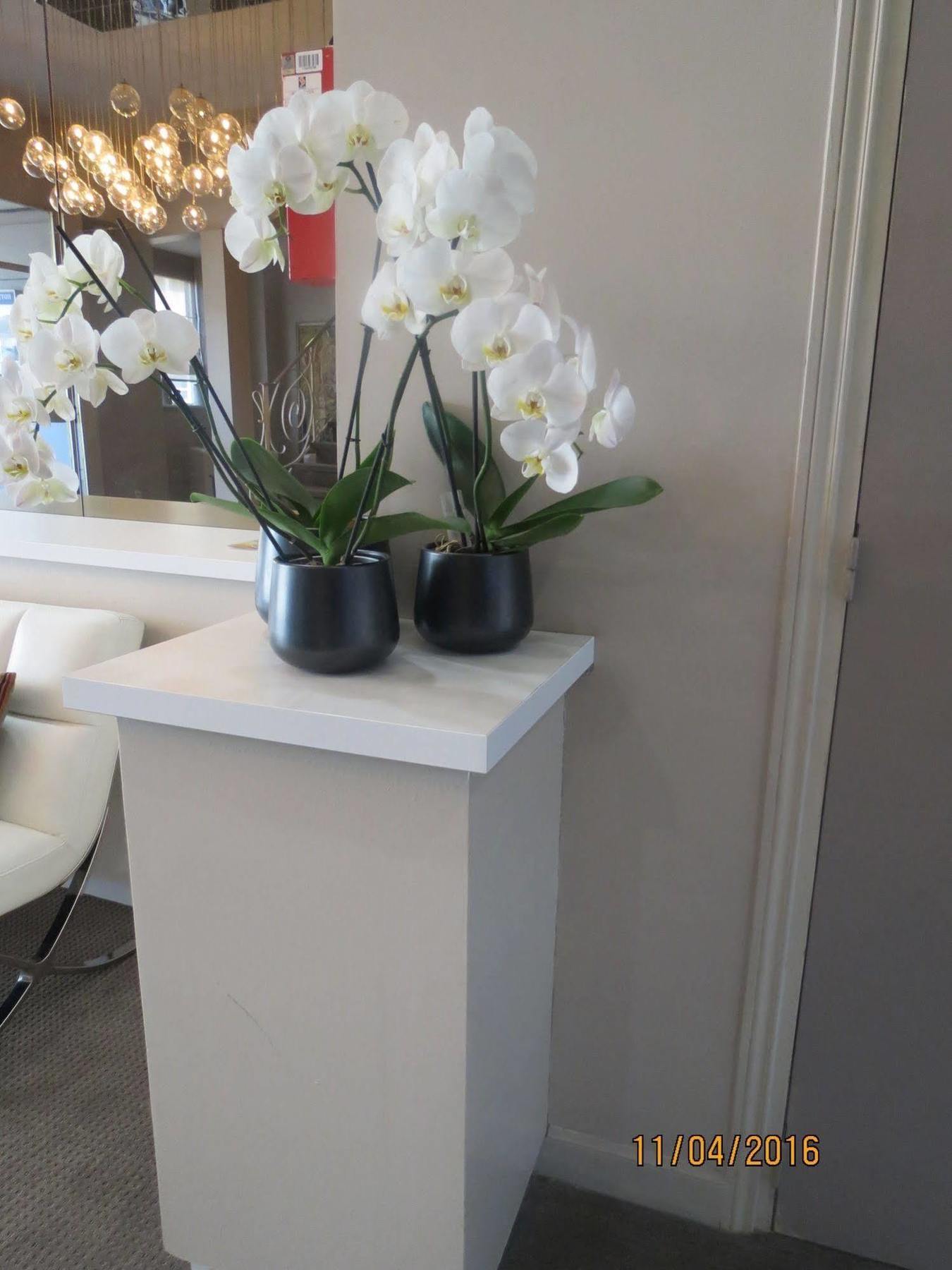 Hotel Ligure Cannes Bagian luar foto
